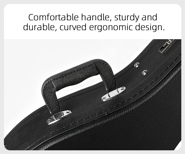 Mandolin Hard Case Structure