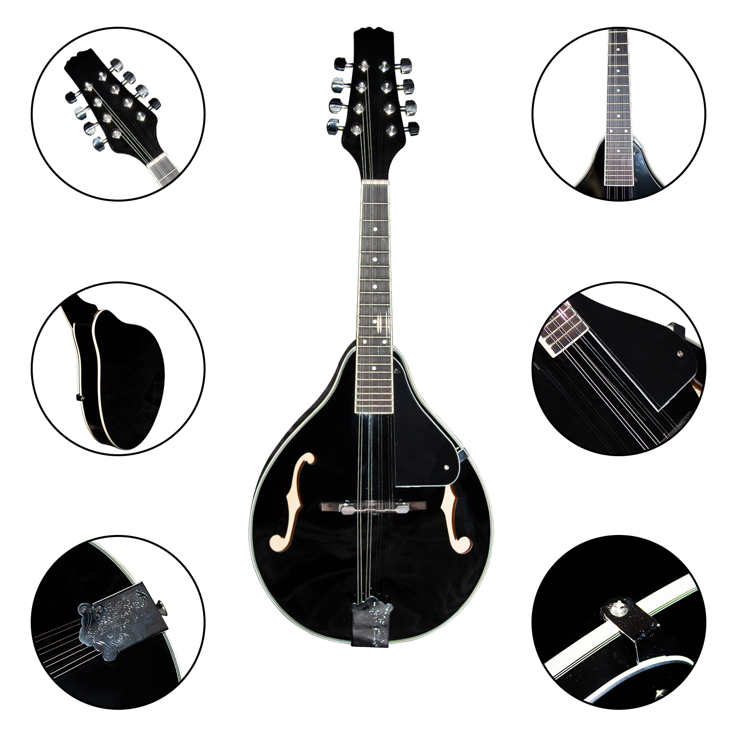 Mandolin View 4