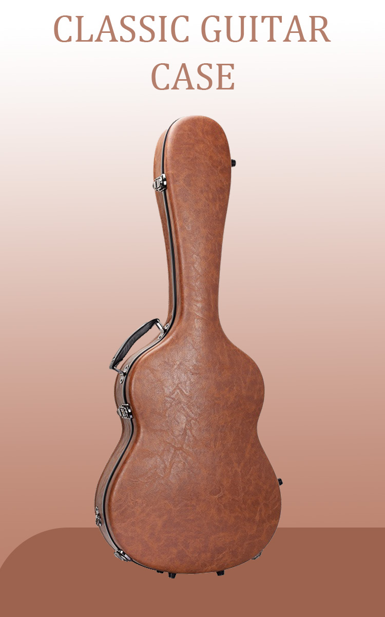 Musical Instrument Case 1