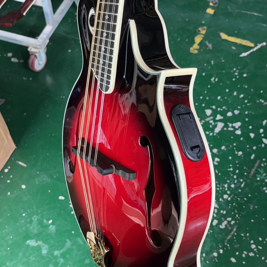Mandolin Detail 2
