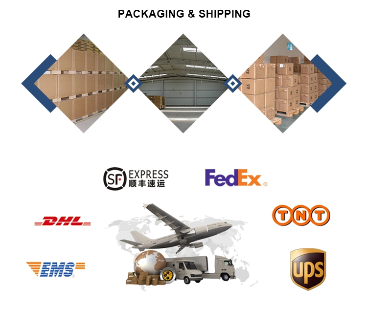 Shipping Logistics