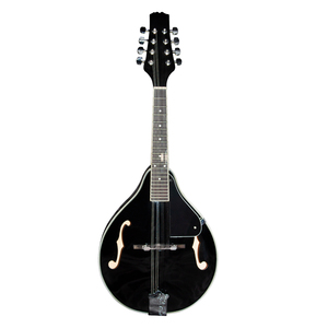 SurpassMusica Handmade Black Professional 8 String Mandolin