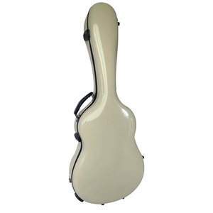 Fiberglass Reinforced Plastic Mandolin Case