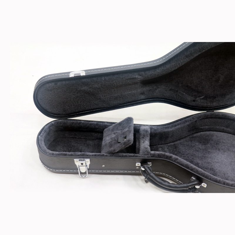 Colorful Mandolin Case Detail
