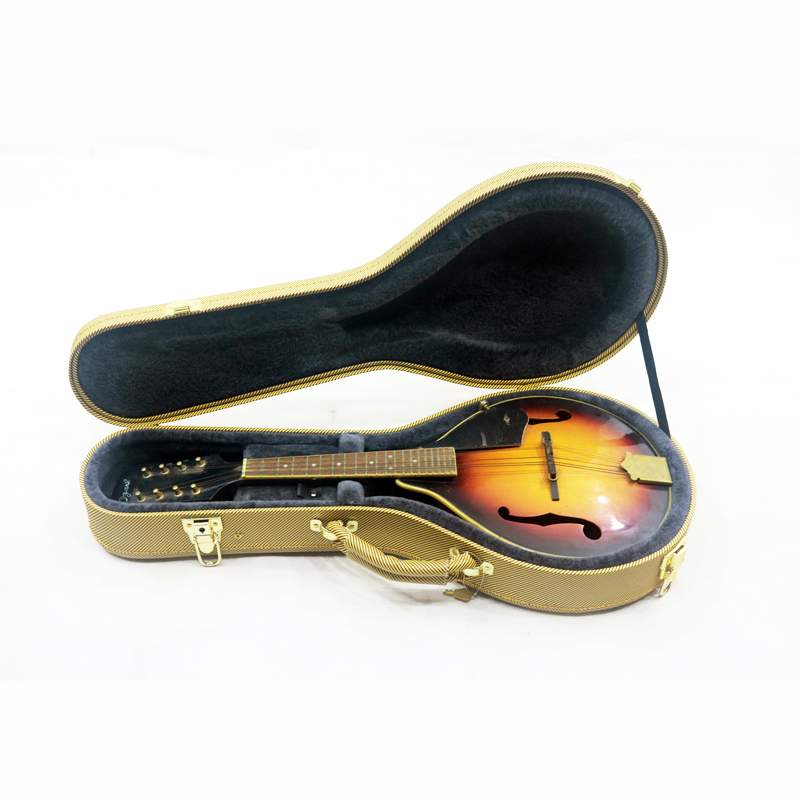 Mandolin Case Structure