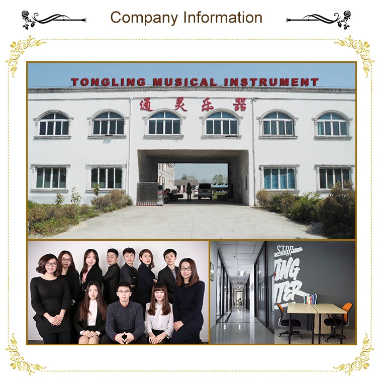 Company Information
