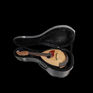 Premium Bowl-Back 8-String Performance Mandolin