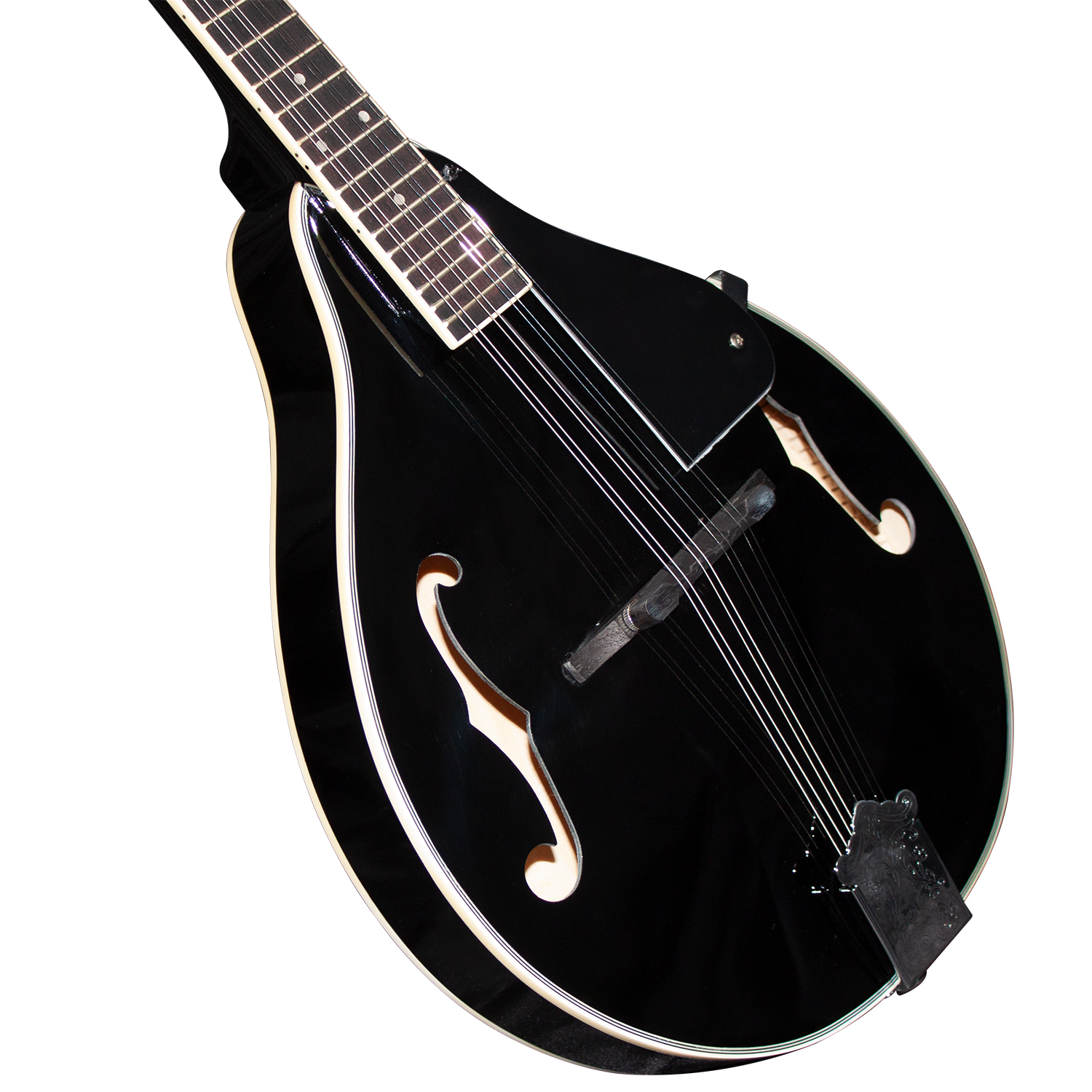 Mandolin View 1