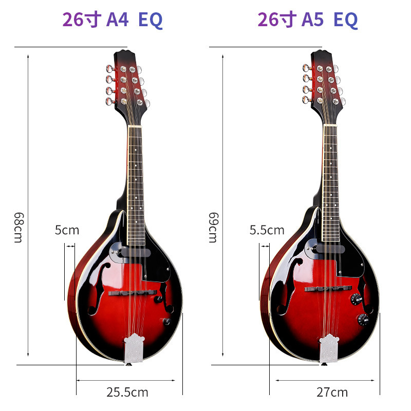Eight-String Mandolin Electric Mandolin with EQ Beginner's Banjo
