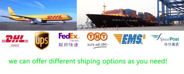 Shipping Logistics