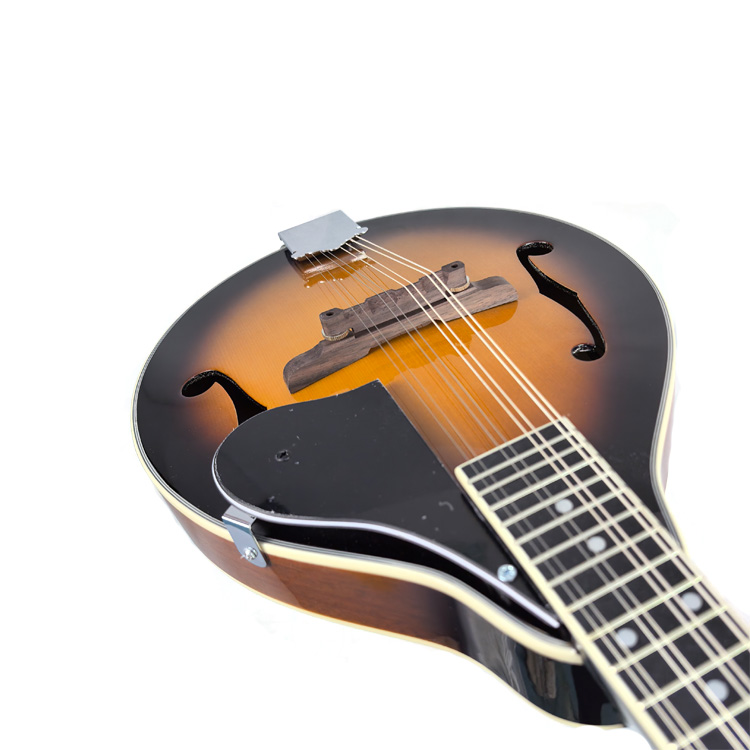 Factory offers low-priced processing of inventory leftover orders for beginner-sized Mandolin instruments with 8 strings.