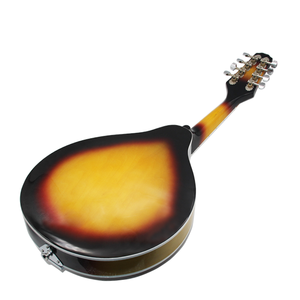 Beginner-level 8-string Spruce-top Mandolin Instruments