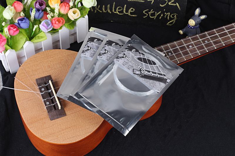 Ukulele String Detail 1