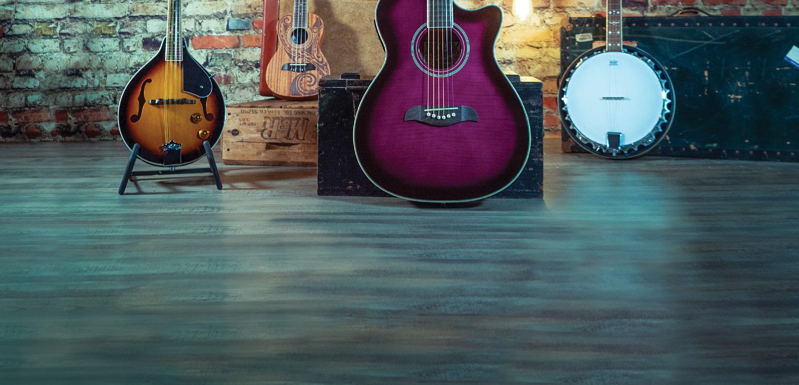 Acoustic guitars, Autoharps, and folk instruments banner