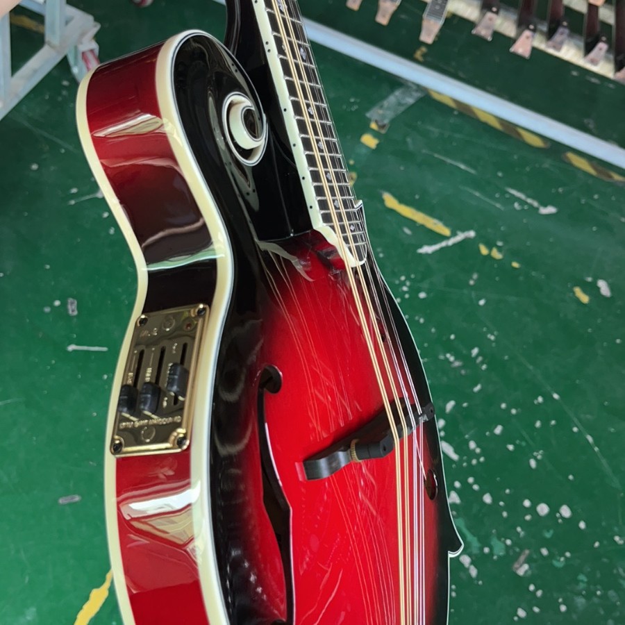 Mandolin Detail 3