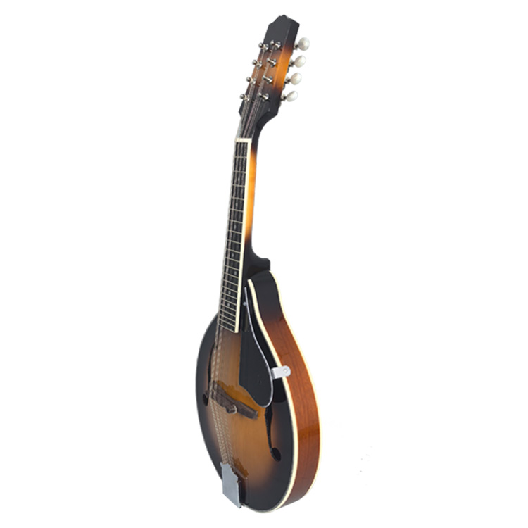 Factory offers low-priced processing of inventory leftover orders for beginner-sized Mandolin instruments with 8 strings.
