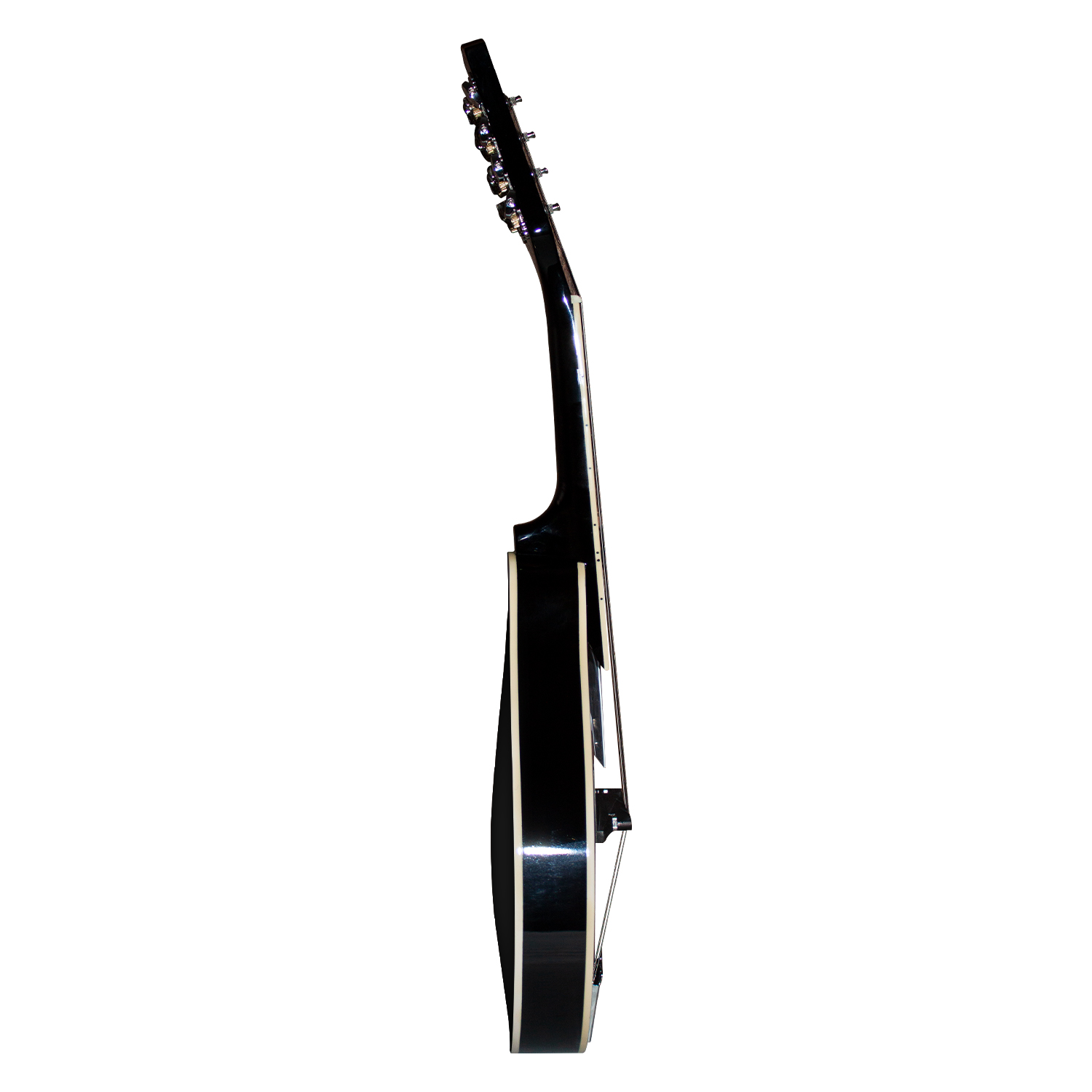 Mandolin View 5