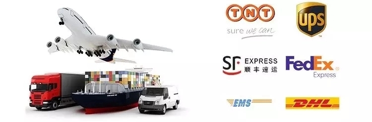 Shipping Logistics