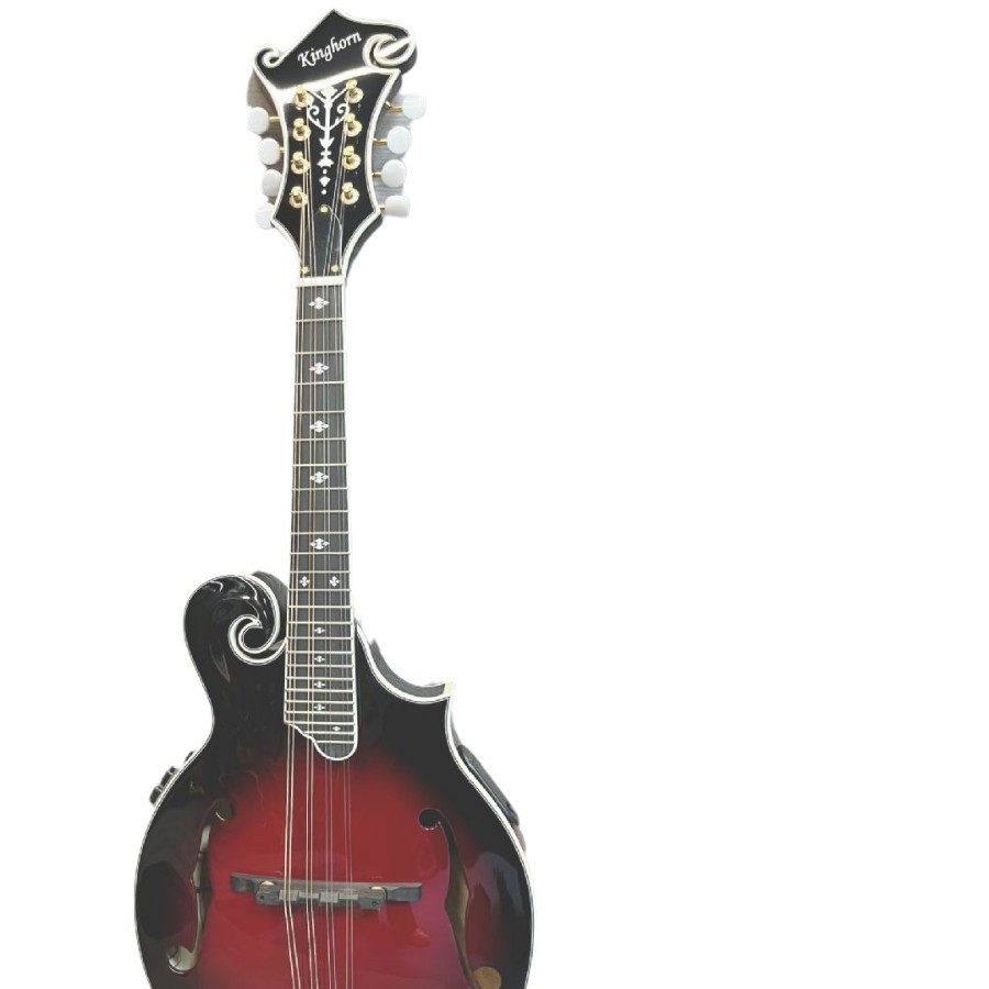 Mandolin Detail 1