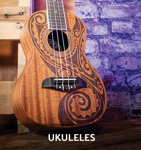 Institutional Autoharp Turnkey Accessories and Gig Bag Package