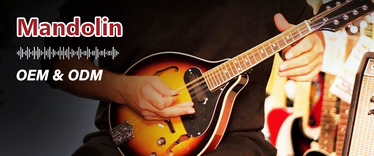 Mandolin Instrument Banner