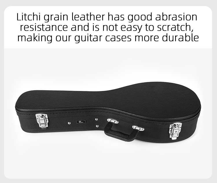 Mandolin Hard Case Angle View